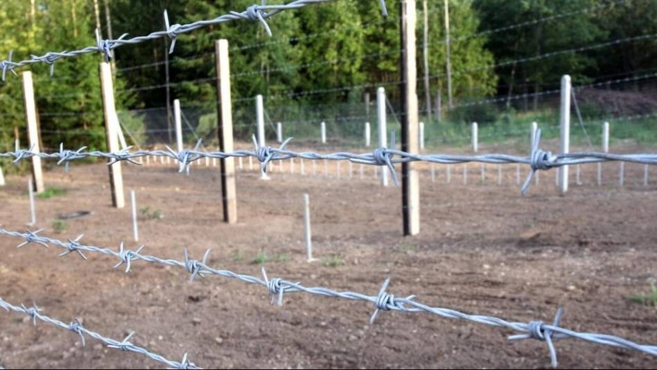Tvora Latvijos pasienyje atsiras ne tik dėl Rusijos karinės grėsmės