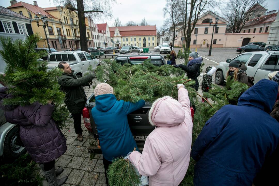  Akcija "Parsinešk Kalėdas į savo namus"