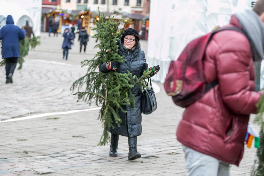  Akcija "Parsinešk Kalėdas į savo namus"