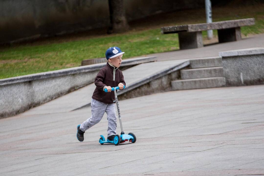 Atgaivintas Vytauto Didžiojo karo muziejaus sodelis