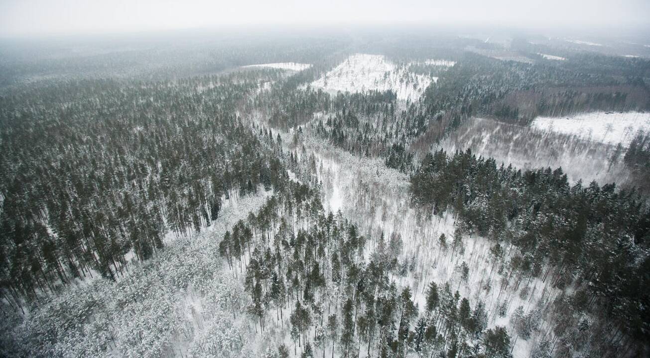 Aplinkosaugininkų reidai sraigtasparniu