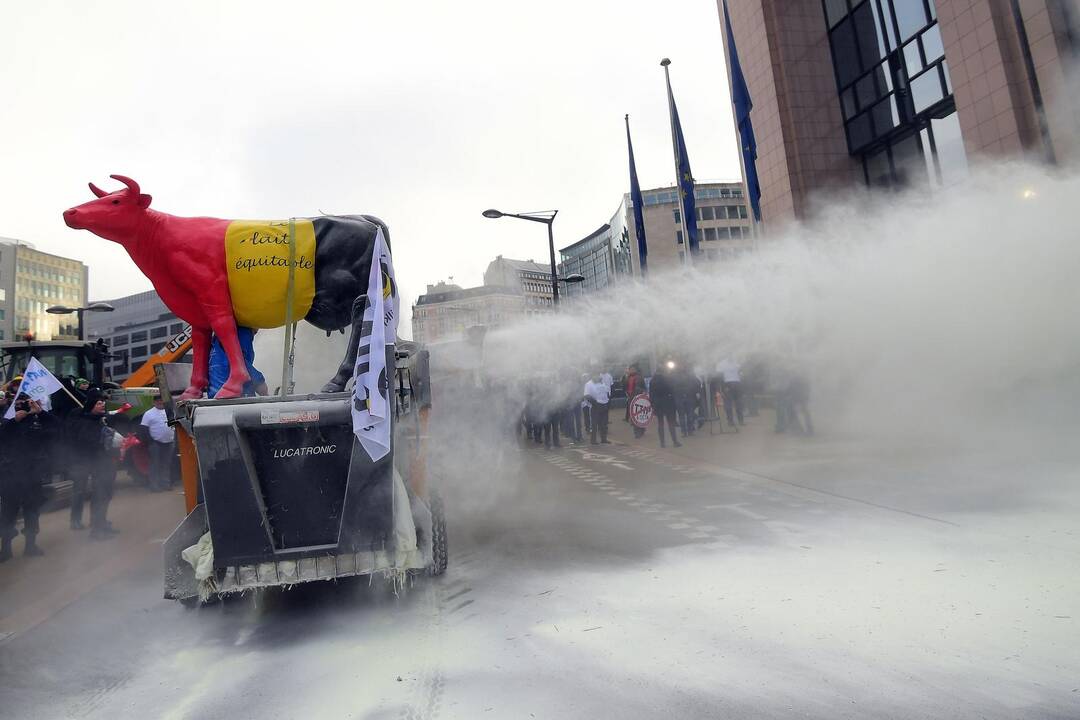 Pieno gamintojų protestas Briuselyje