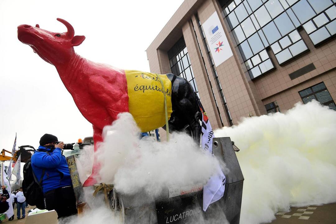 Pieno gamintojų protestas Briuselyje