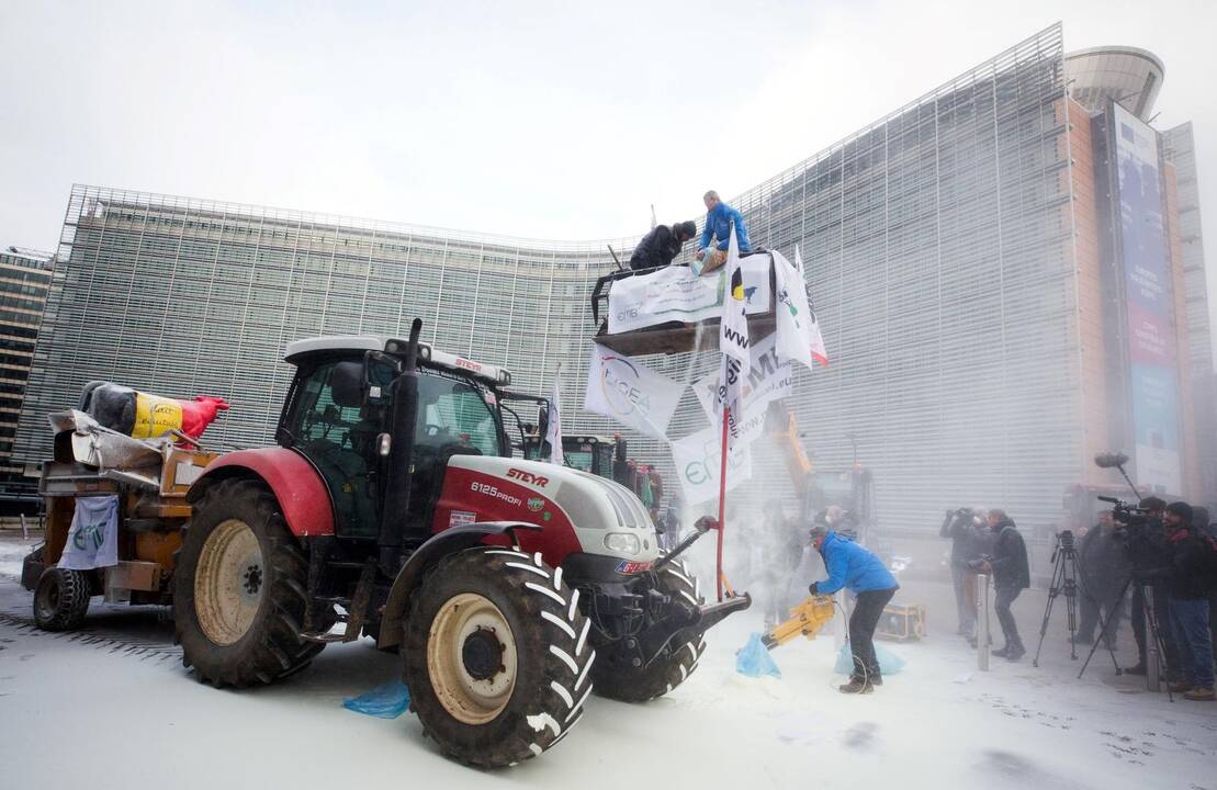 Pieno gamintojų protestas Briuselyje