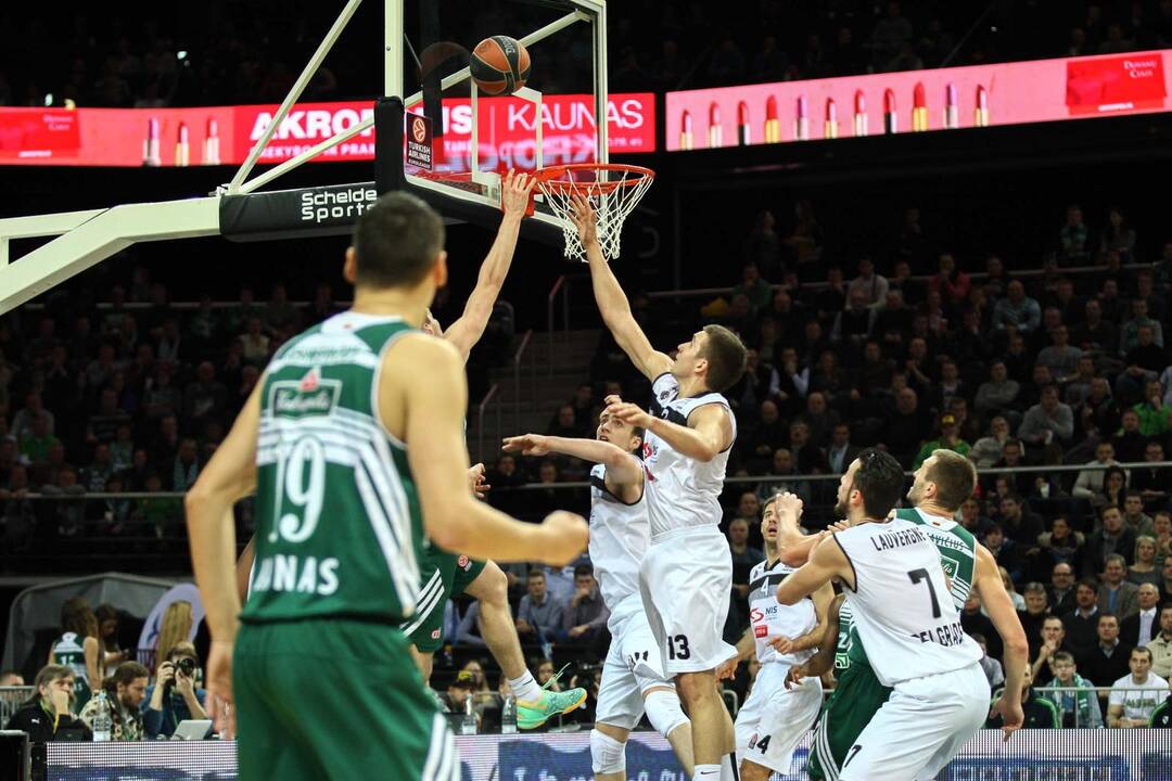 Žalgiris prieš Partizan Nis