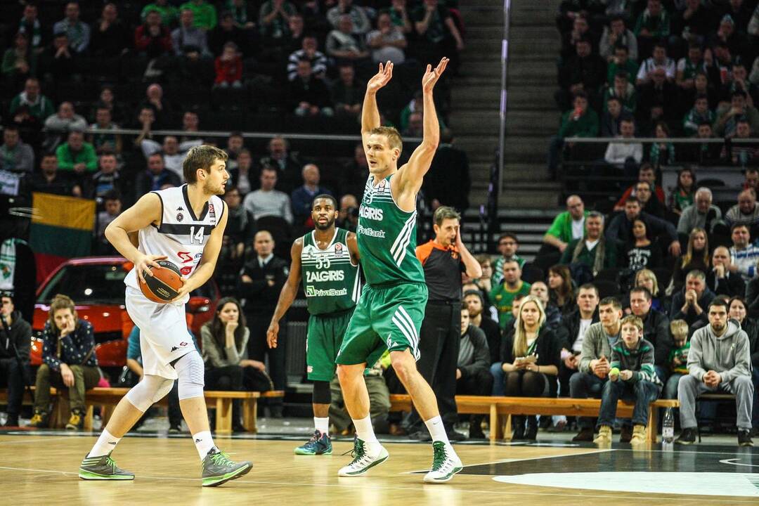 Žalgiris prieš Partizan Nis