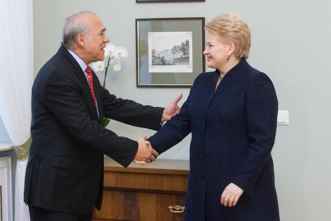 D. Grybauskaitės susitikimas su A. Gurria