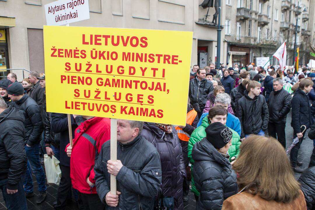 Pieno gamintojų protesto akcija