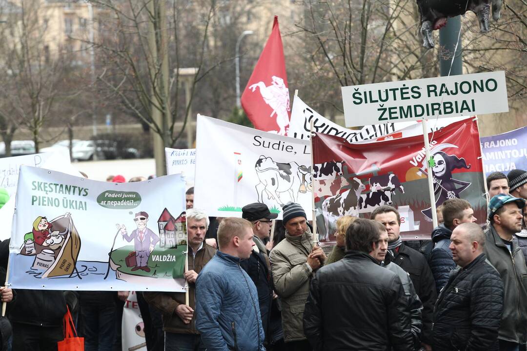 Pieno gamintojų protesto akcija