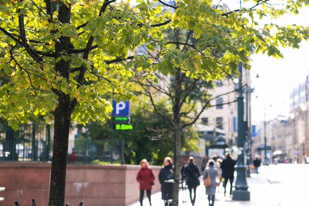 Vilniuje baigiamasis "Prokrovskije kolokola" koncertas ir mugė