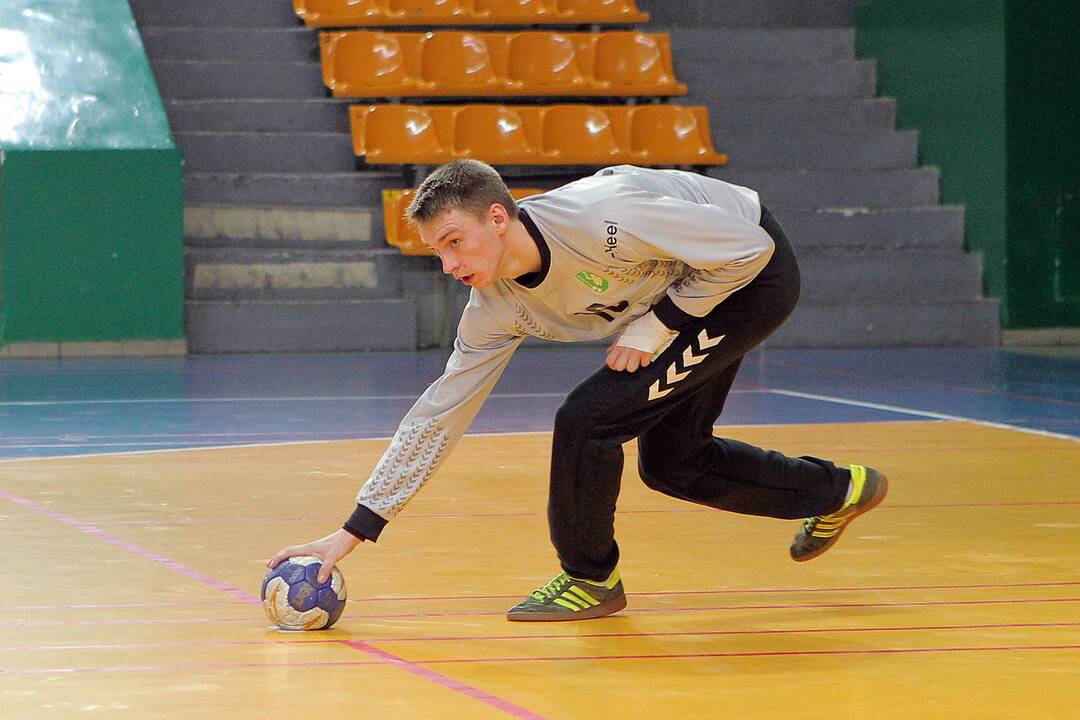 „Granitas-Karys“ – Dobelės „Tenax“ 28:22