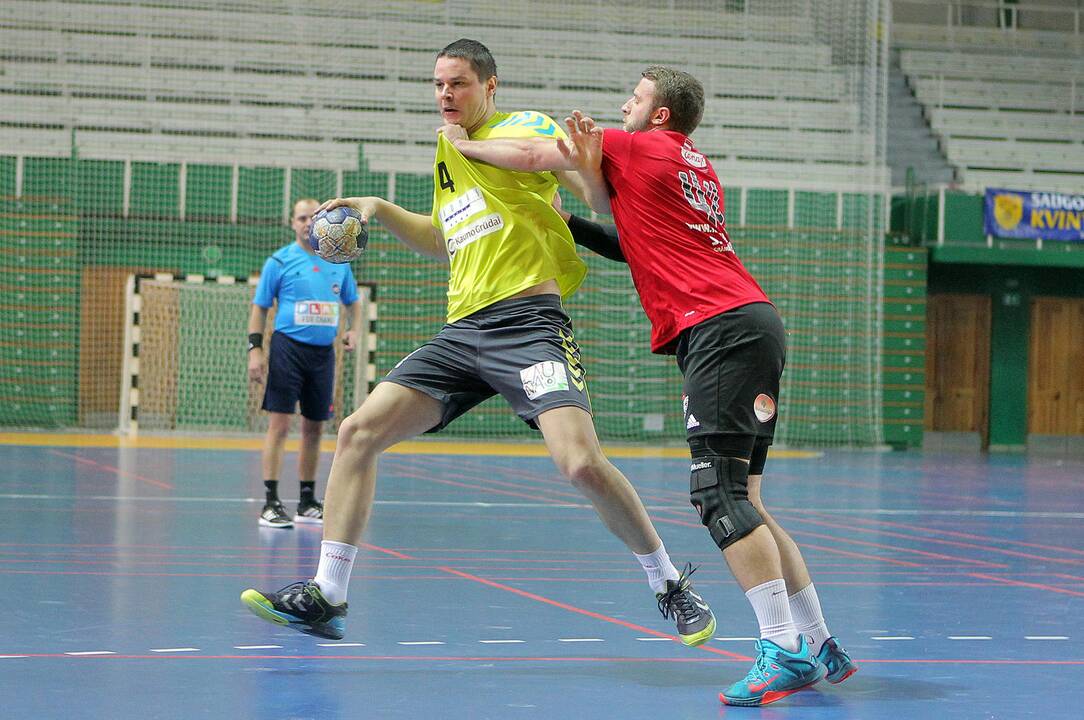 „Granitas-Karys“ – Dobelės „Tenax“ 28:22