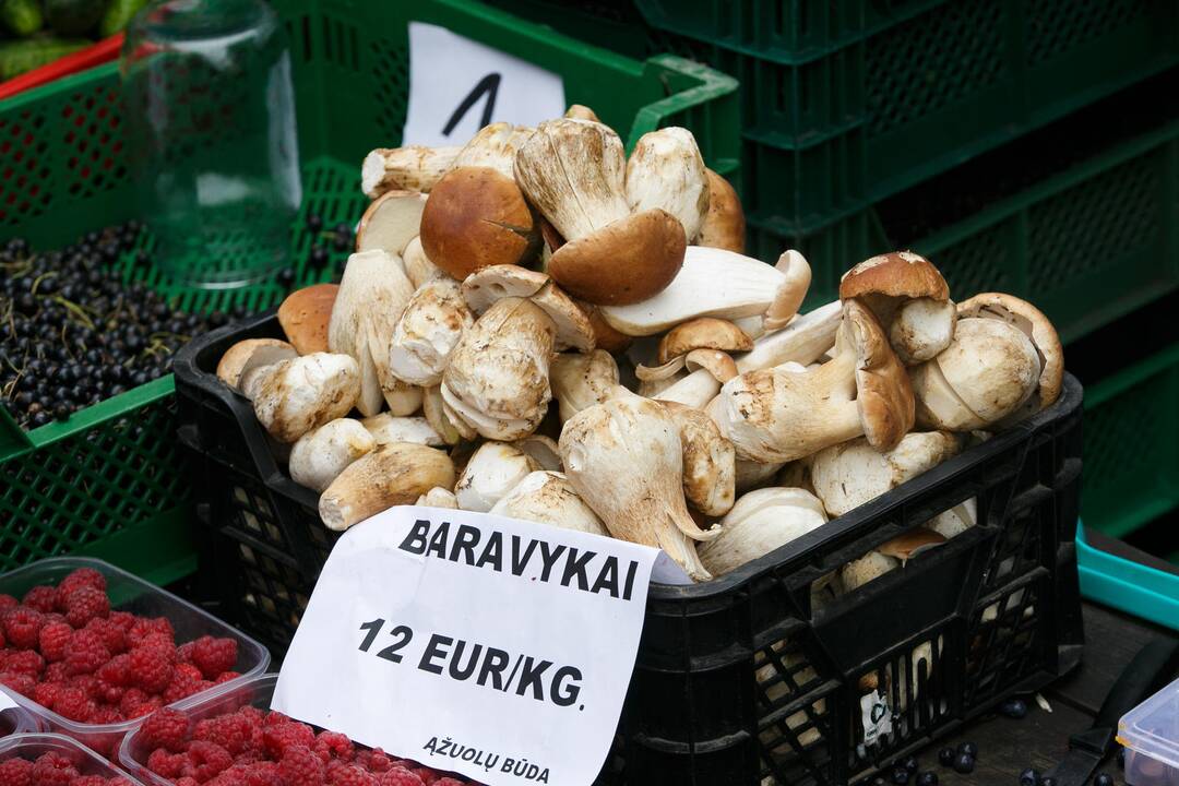 Grybai turguje