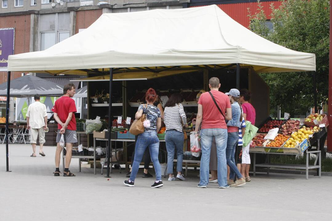 Pokyčiai: vaisių ir daržovių pardavėjai jau mėnesį klientus priima naujuose kioskeliuose.