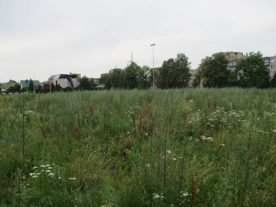 Pradėtas tvarkyti apleistas stadionas