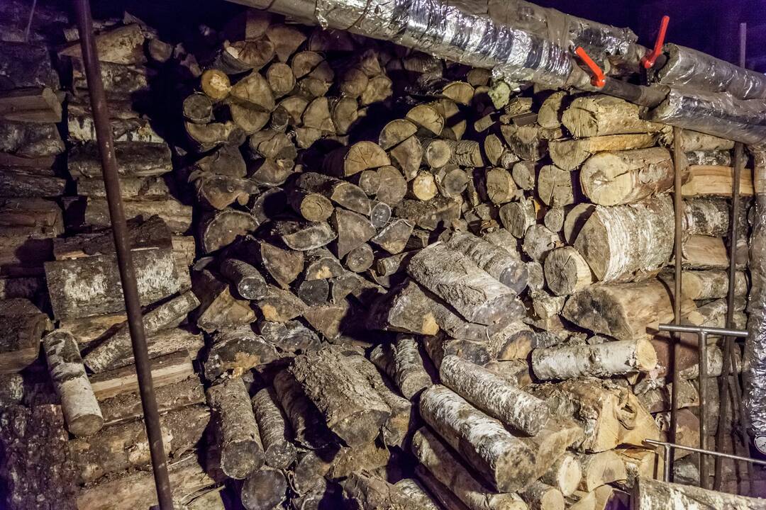 Aplinkosaugininkų reidas po Vilniaus katilines