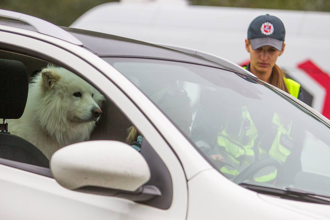 Netikėtas policijos reidas