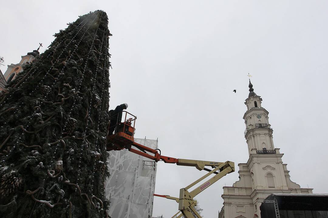 Rengiamasi Kauno Kalėdų eglės įžiebimui