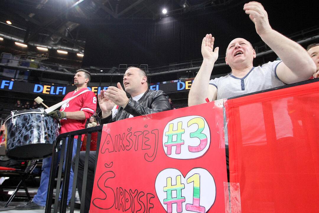 Ledo ritulys: Lietuva – Rumunija 8:3