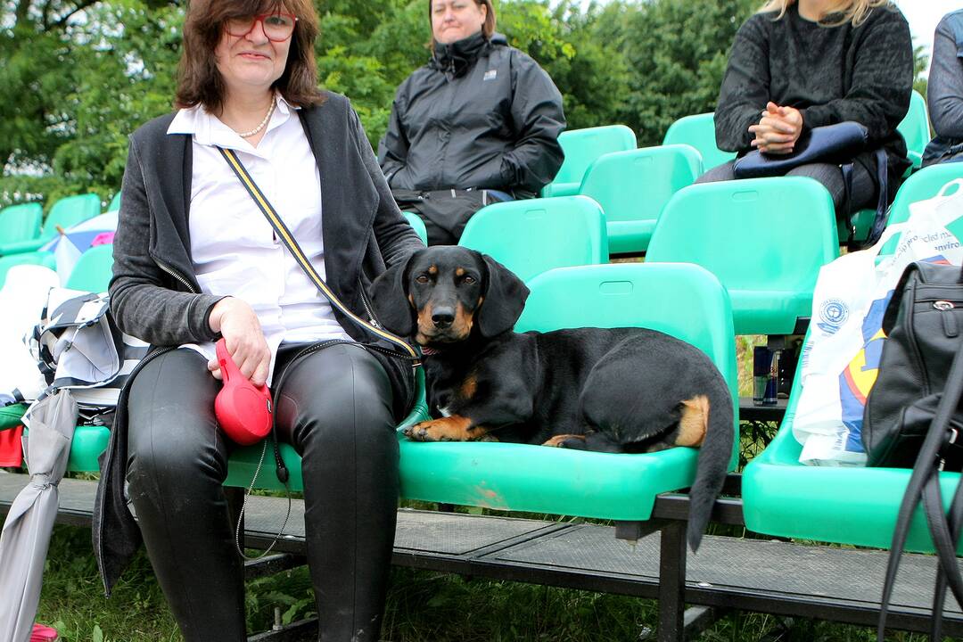 LTF Open. Moterų 2 etapas