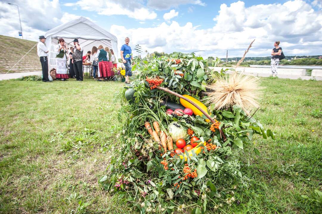 Žolinių šventė prisimenant Marvos dvarą