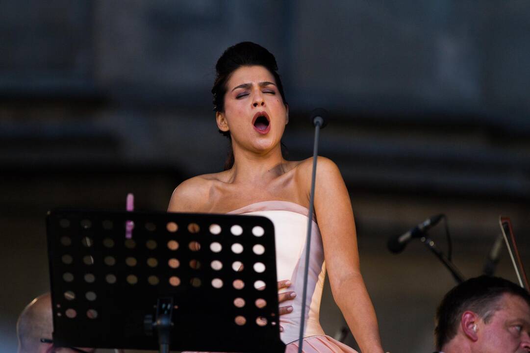 Pažaislio muzikos festvalio baigiamasis koncertas