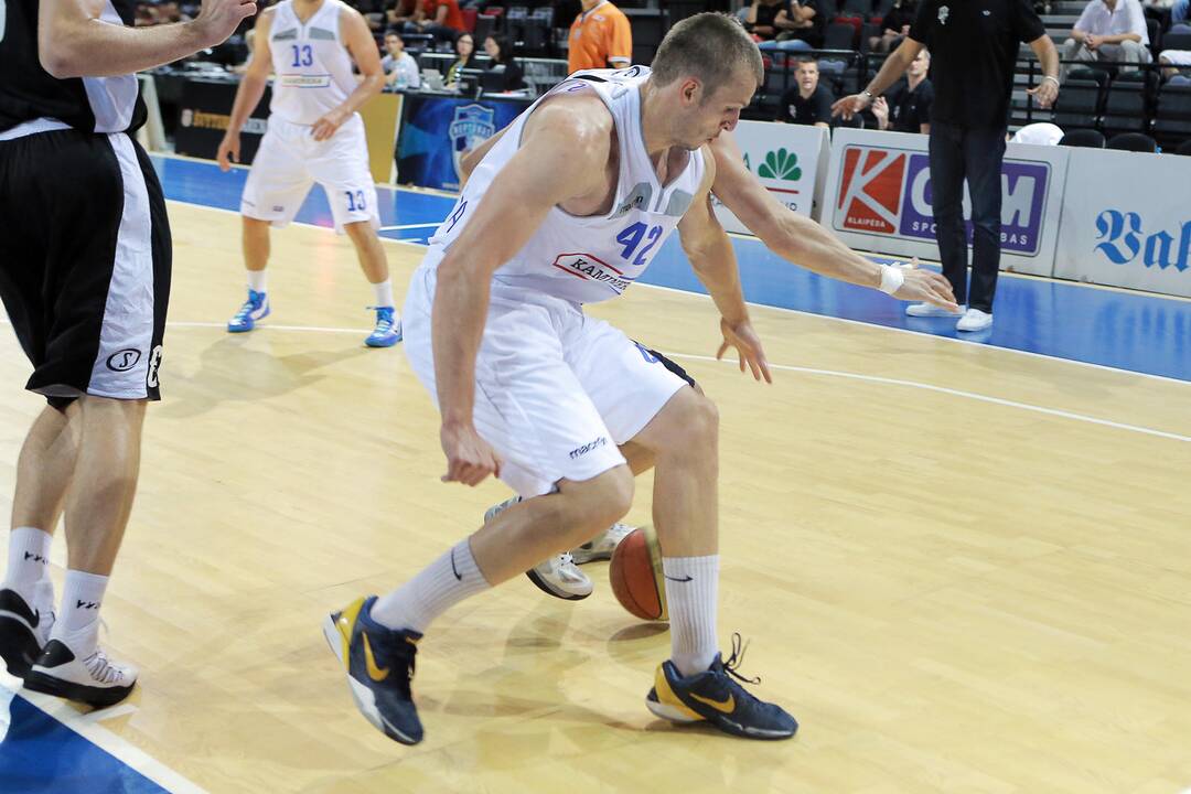 V. Garasto krepšinio turnyras