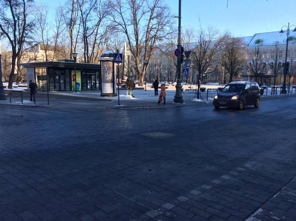 Pavyzdingas briedis dėvi atšvaitus