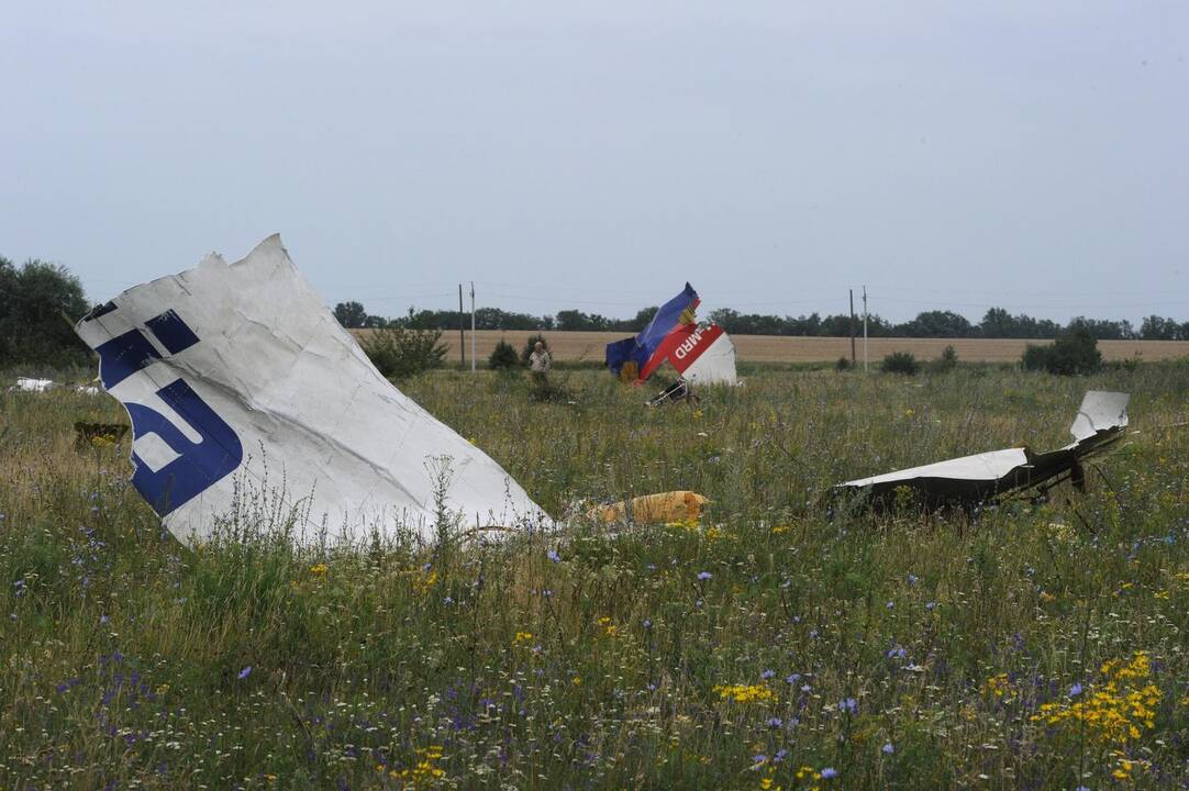 Malaizijos lėktuvo katastrofa Ukrainoje