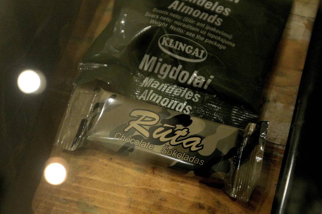 Paroda „Kareivio dienos“