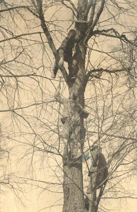 Raudondvario pradinės mokyklos paukščių šventė 1938-1939 m.