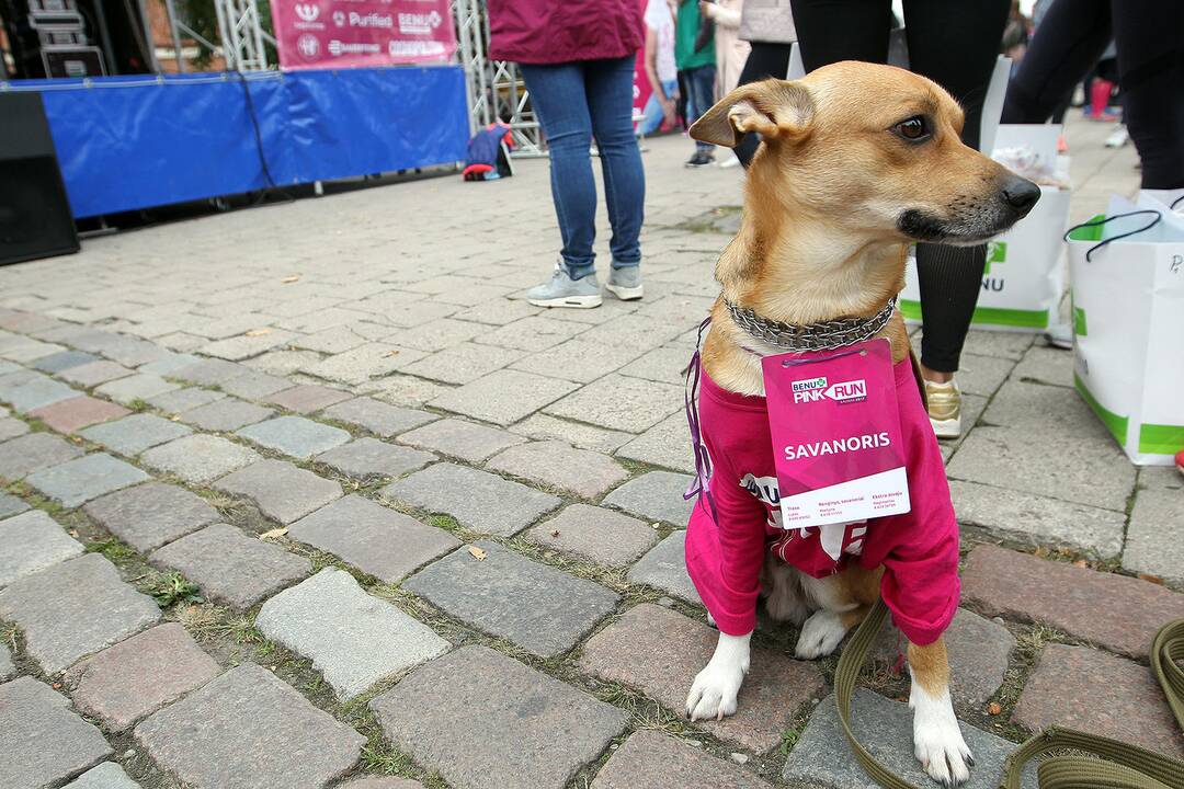 „Pink Run“ bėgimas Kaune