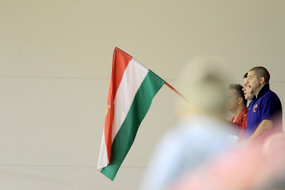 Europos taurė: „Hoptrans-Sirenos“ – „Cegled“ 61:76 