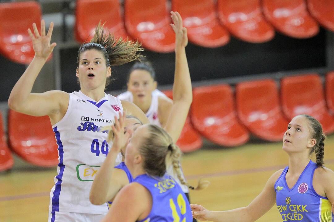 Europos taurė: „Hoptrans-Sirenos“ – „Cegled“ 61:76 
