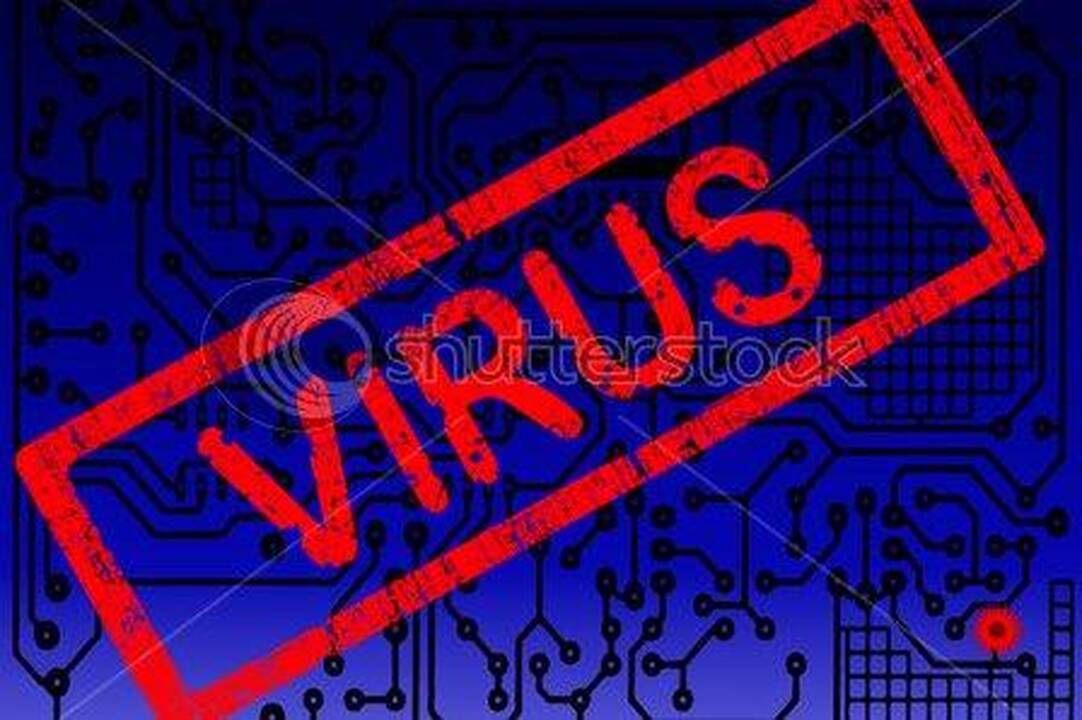 Plinta PDF virusas