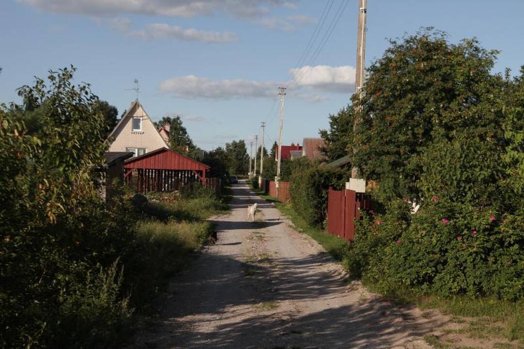 Naktį nugriaudėjęs sprogimas išgąsdino Dituvos ir Šernų gyventojus