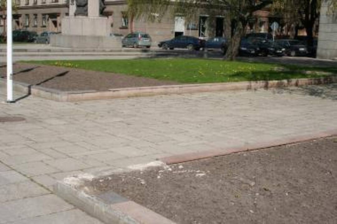 Prie savivaldybės žydi tik pienės