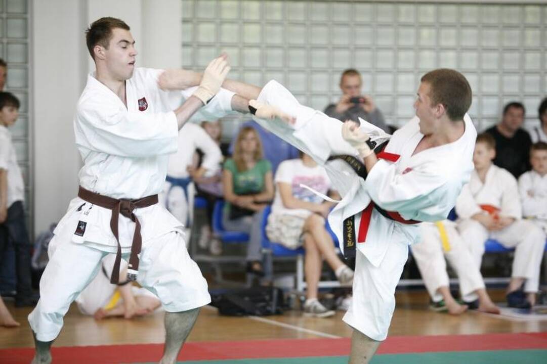 Lietuvoje gali vykti 2015 metų Europos tradicinio karatė čempionatas