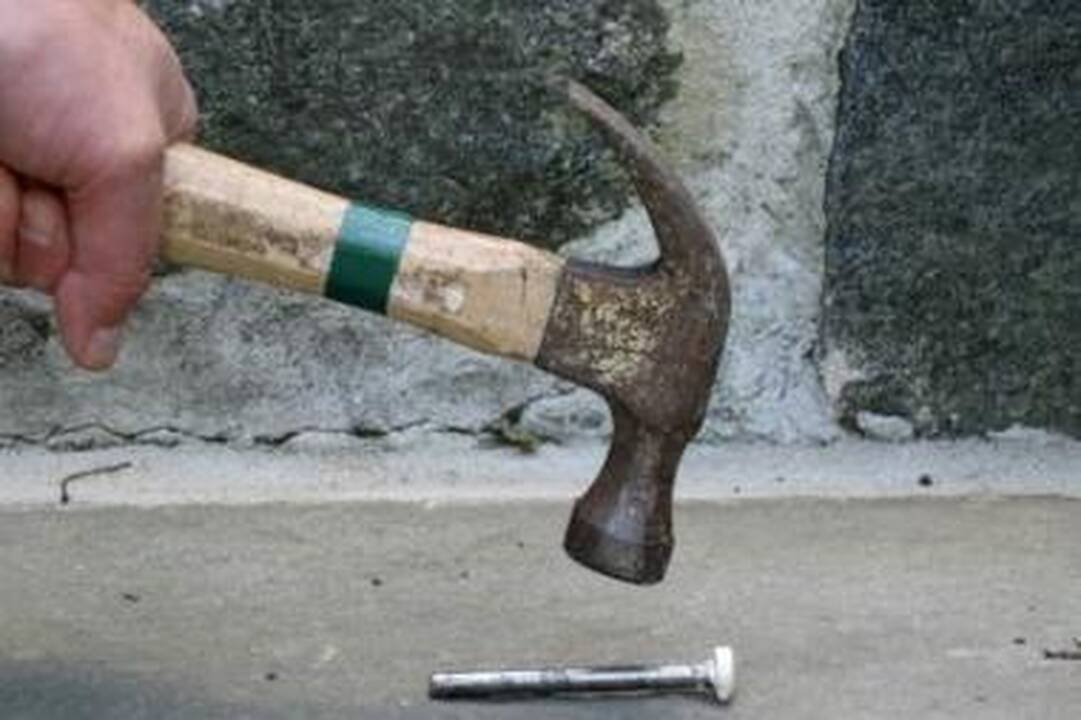 Vėžaitiškis šunį užmušė plaktuku