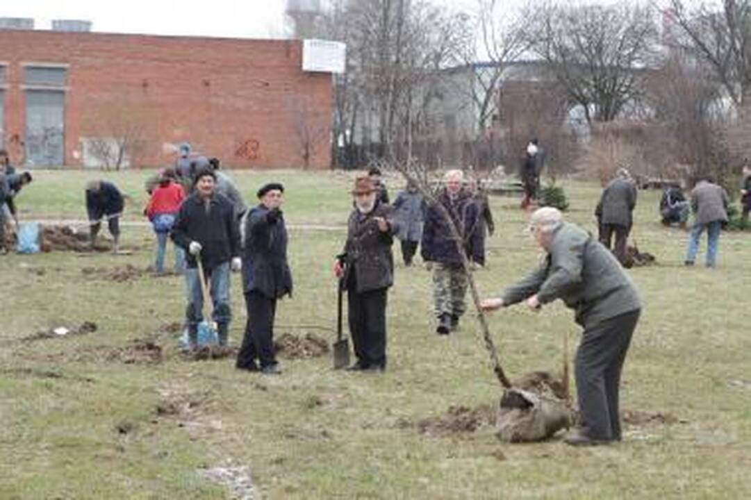 Klaipėdiečiai mieste pasodino medelių