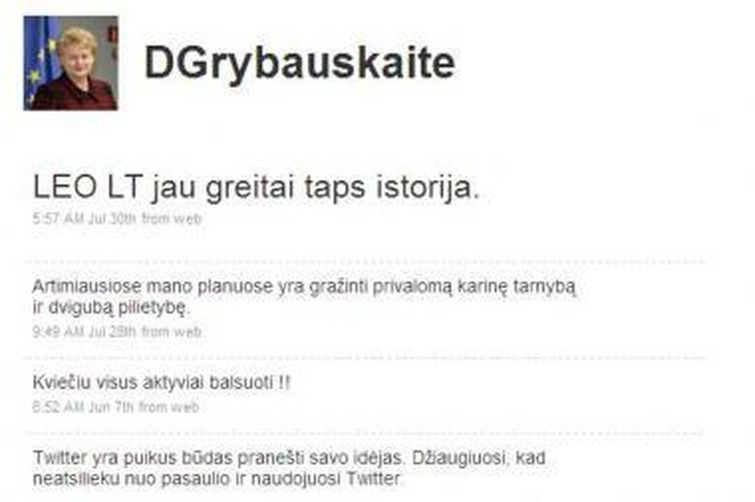 Internete D.Grybauskaite apsimetantis asmuo apgavo ir Vyriausybę 