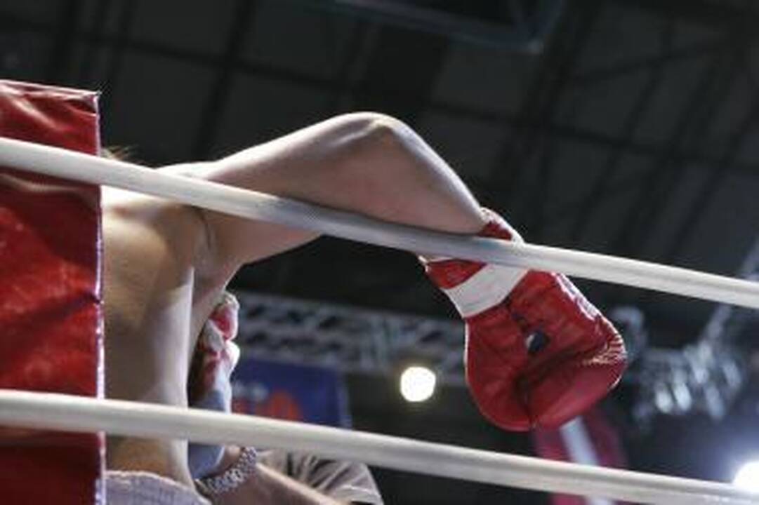 Evaldas Petrauskas - Europos jaunių bokso čempionas