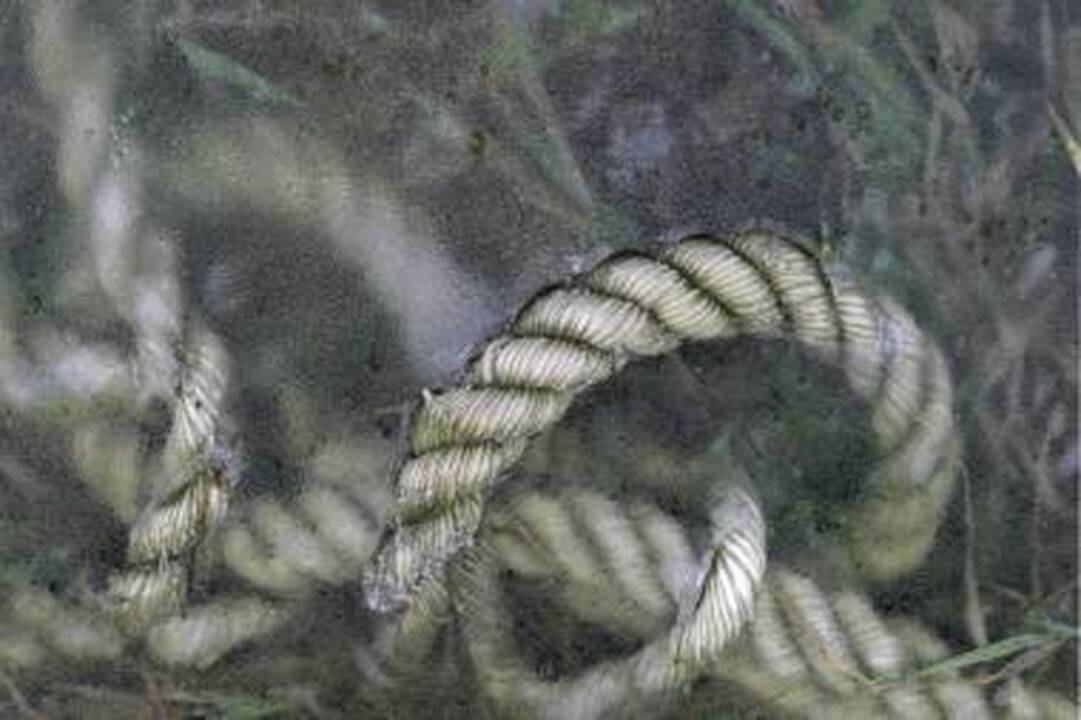 Vilniuje rastas vyro kūnas, surištomis rankomis