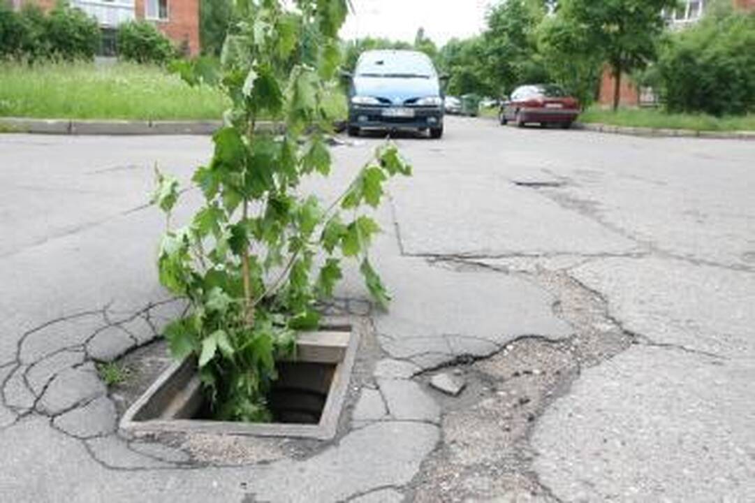 Vagys pagrobė 70 dangčių