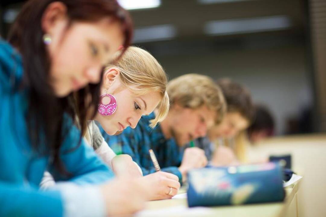 Po aštuntos klasės - raštingumo patikrinimas