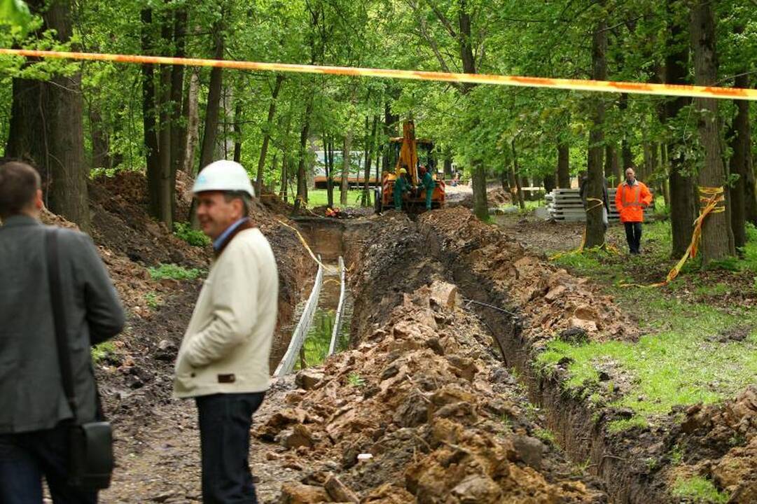 Ąžuolyno kasinėtojams – kritikos strėlės