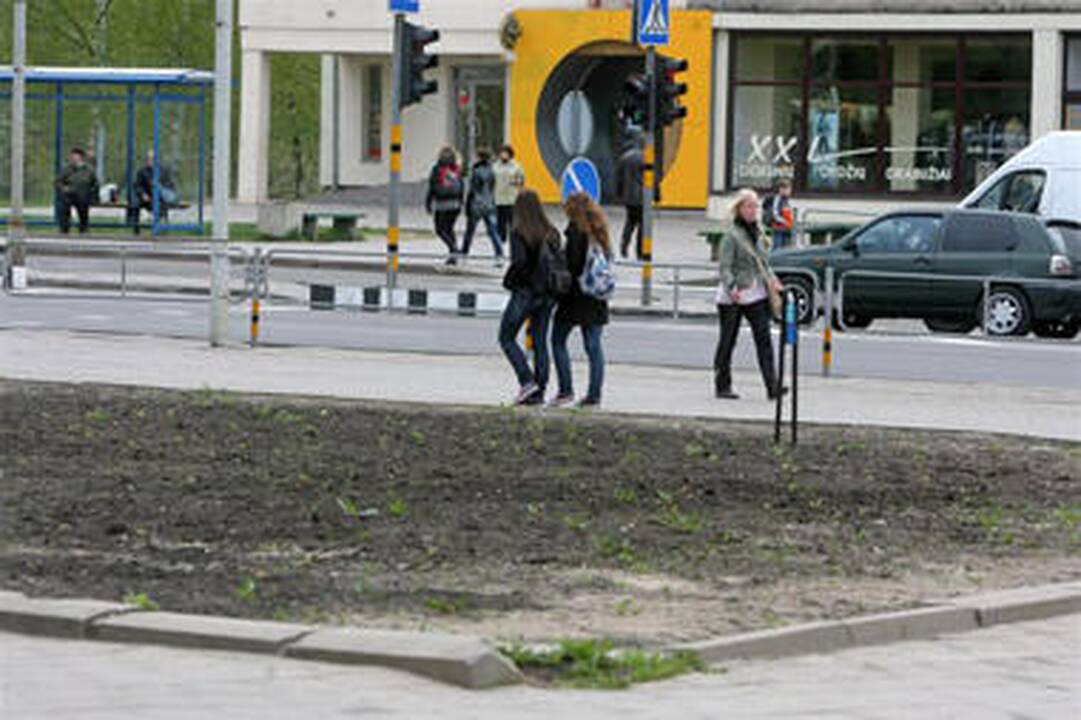 Panevėžio miesto įvaizdis – tušti gėlynai