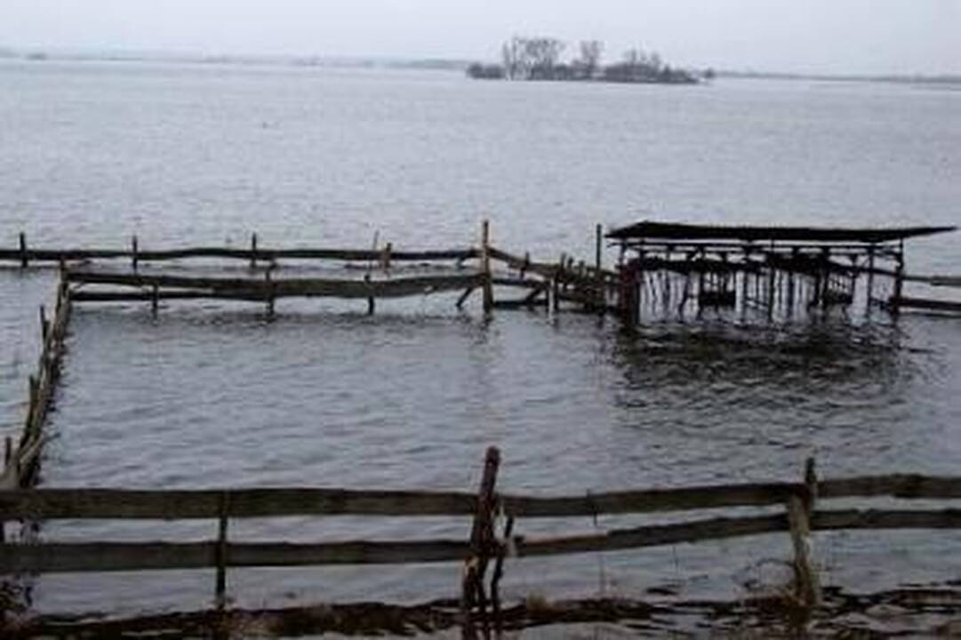 Pamaryje daugėja apsemtų sodybų 