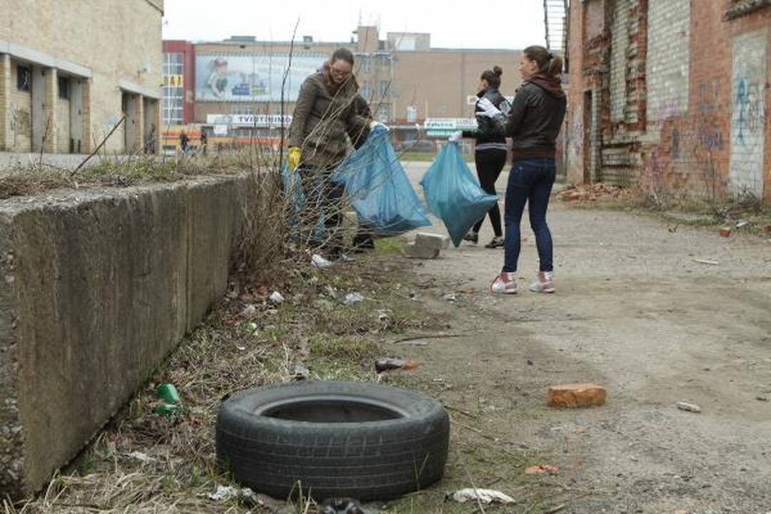 Darom 2011: Klaipėdoje plušo tūkstančiai žmonių