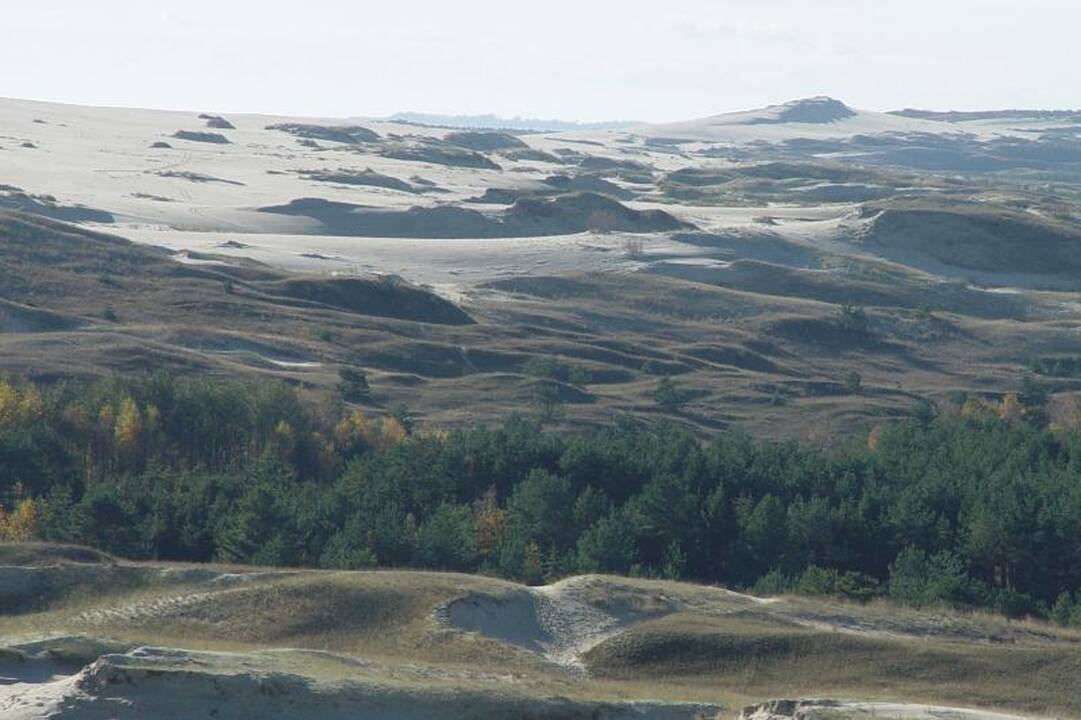 Klaipėdos "Žemaitijos-Dragūnas" - Lietuvos vyrų rankinio čempionas